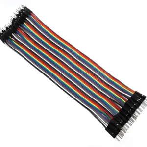 Cabo Wire Jumper Macho x Macho 30cm - 40 fios